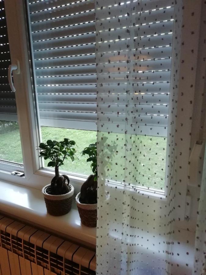 Sarmantni Apartman Malecka ザグレブ エクステリア 写真