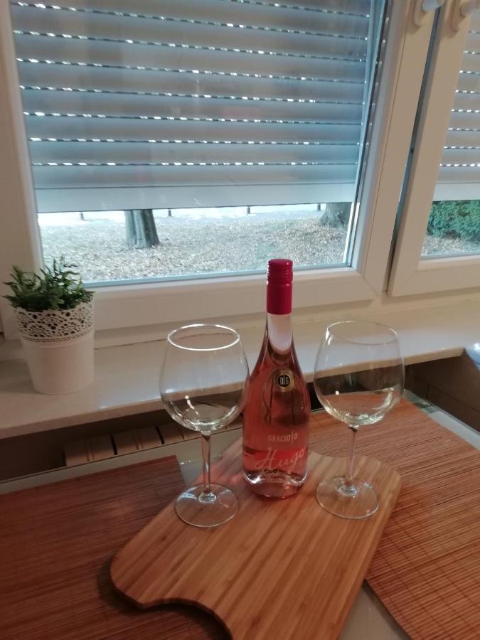 Sarmantni Apartman Malecka ザグレブ エクステリア 写真